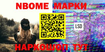 гашик Дубна