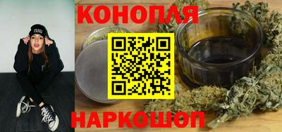 гашик Дубна