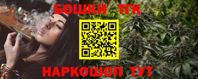 гашик Дубна