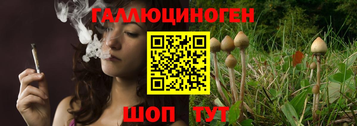Галлюциногенные грибы мицелий  Псилоцибиновые грибы Magic Shrooms  Вход с VPN  Мичуринск 